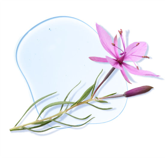 Clarifying Toner Pads